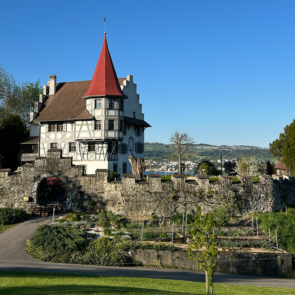 Schloss 2